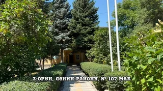 1792138785.jpeg