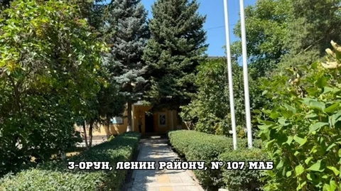 1792138785.jpeg