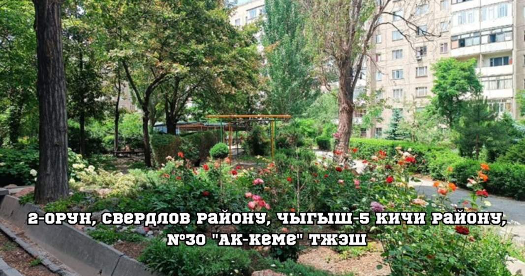 В Бишкеке выбрали лучшие зеленые дворы, улицы и учреждения