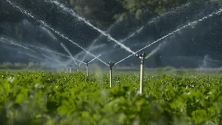 1956662972_103_0_3744_2048_1920x1080_80_0_0_137bcfeca8ffaff2ff881e55745135c2.jpg