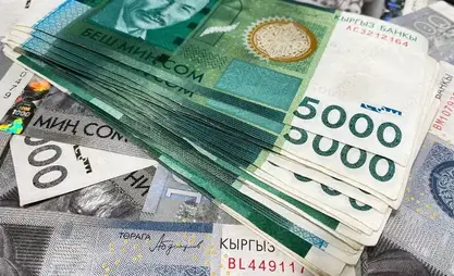 Предприниматели получили льготные кредиты на 125 млн сомов