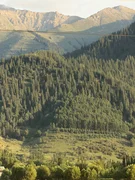 1f4e9c04-3f41-4716-aff5-6bf38174a6f2.jpg