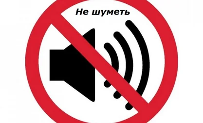 В Бишкеке закон "О тишине" не работает - Дастан Бекешев