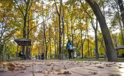 Как подготовить организм к осенне-зимнему периоду - советы врачей
