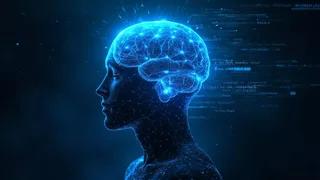 2021410438_6_0_1371_768_1920x0_80_0_0_886c00cd6df0c0911184944a6f1b3c83.jpg.webp