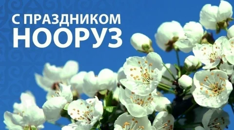2024-03-20_12-39-30_190013.jpg