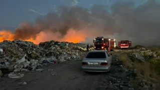 2024-07-25_16-57-11_182282-1.jpg