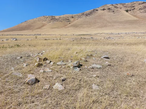20240819_142030.jpg