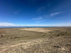 2025-04-03_11-01-54_434059.jpg