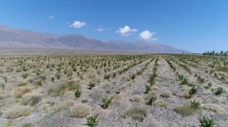 2025-06-03_17-39-57_406507.jpg