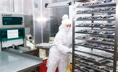 В КР в сфере переработки сельхозпродукции создано свыше тысячи новых рабочих мест