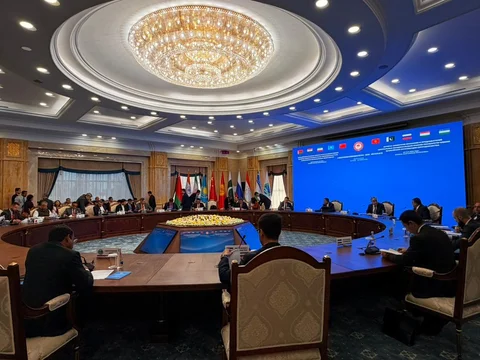 2030de0c-5a1d-45cc-90a6-525a408b928e.jpg