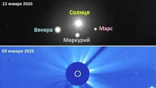 2067033907_0_0_1013_571_768x0_80_0_0_48ed6b0dff27e05a1693cf328435d01f.jpg (1).webp