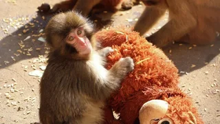 2075619498_0_18_1200_692_768x0_80_0_0_06d38322bf6416d2922bec28a6066323.jpg.webp