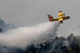 2107138252_0_0_3072_2048_1440x900_80_0_1_27dc3230fe6fe609c5196a163b4bc1ab.jpg.webp