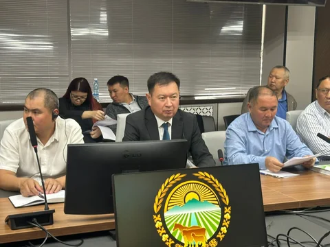 23fb0946-5fac-4621-8c78-8627742acd29.jpg