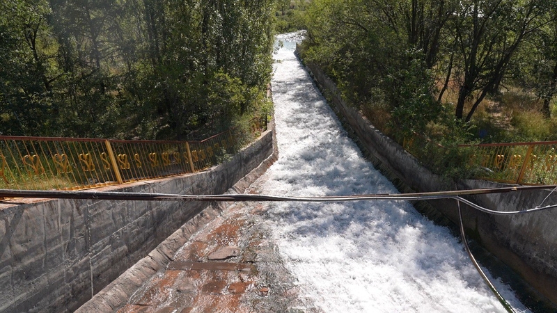 2538c6e6-f4e6-45ea-89ad-8759562d2359