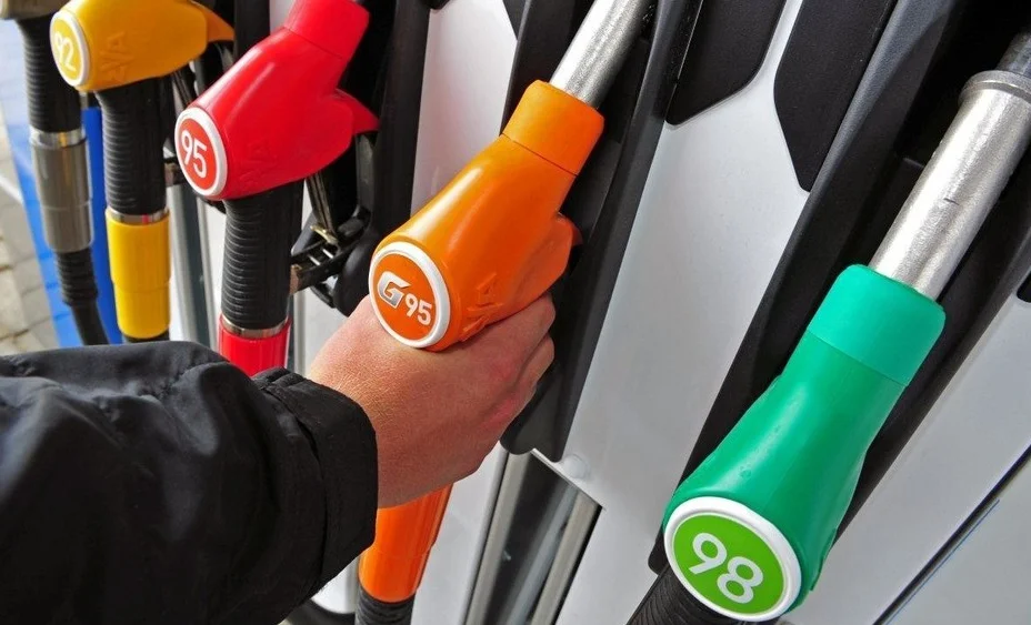 3008476.e5ba60377017df9c3b7d7daa62dcf56e (1).jpg