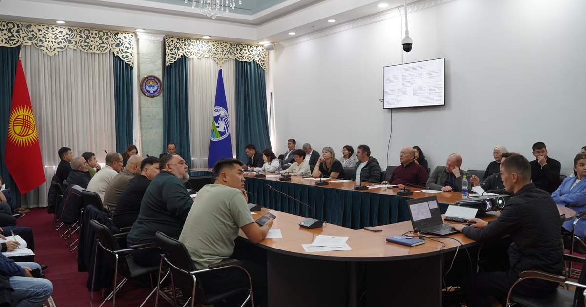 В Кыргызстане утвердили перечень разрешенных пластиковых пакетов и изделий