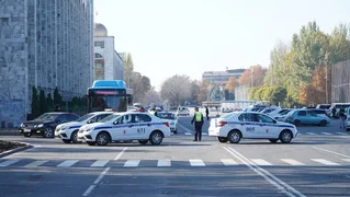313244.jpg