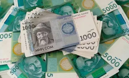 Объем наличных денег в обращении в Кыргызстане вырос на 24,4%