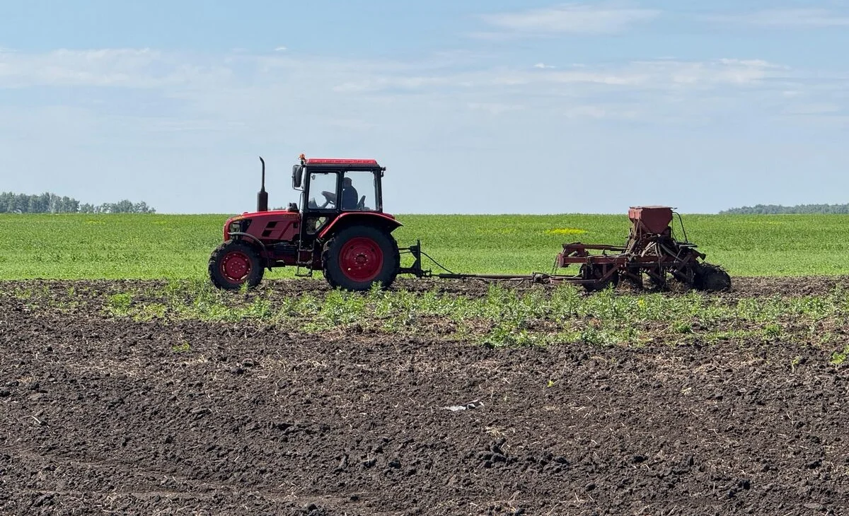 32b8ec89-89f3-4b93-83c3-162567d99c3c (1).jpg