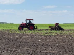 32b8ec89-89f3-4b93-83c3-162567d99c3c (1).jpg