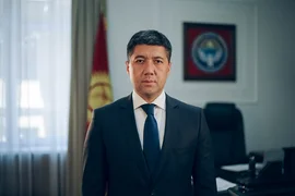 335958.jpg
