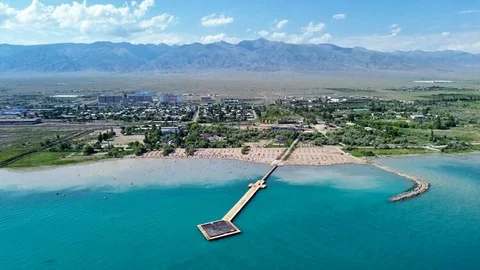 341733_w_h500_1723442197_r.jpg