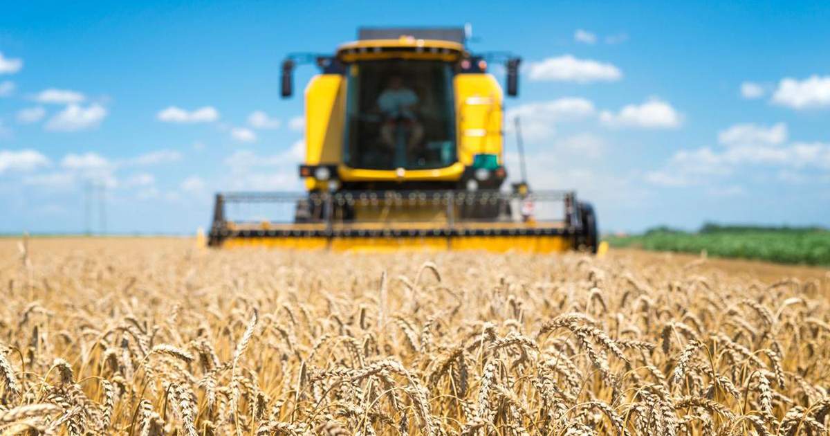 В агрокомплекс в Оше планируют привлечь более 1 млрд сомов