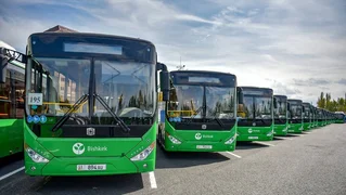 359623.jpg