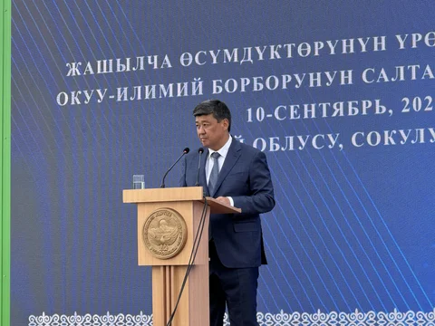 3622f5fc-e956-4fb5-afdb-ff349d0f00fd.jpeg