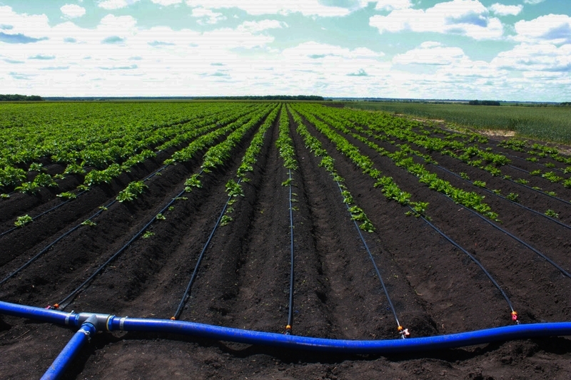 38e71b13-a9d2-4b35-9cfe-52c530bb4bf4.width-800