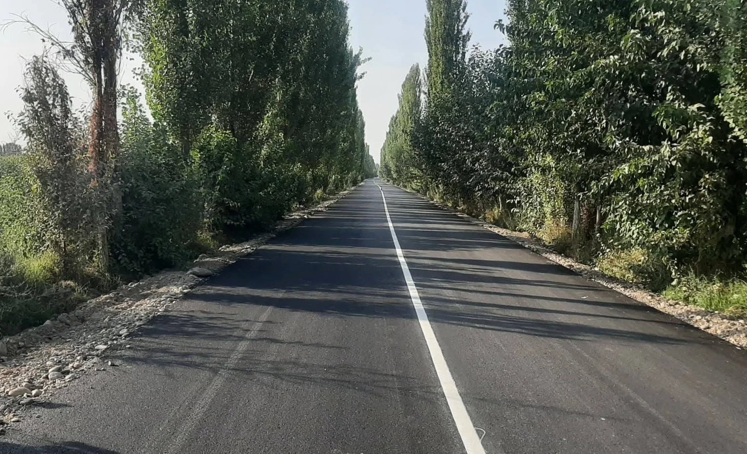 390812.jpg