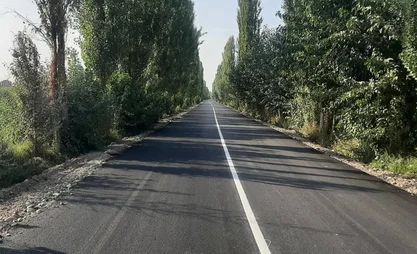 390812.jpg