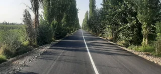 390812.jpg