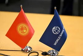 4062227.d1678831c5ed0c2e2fda86143f598d4f (1).jpg