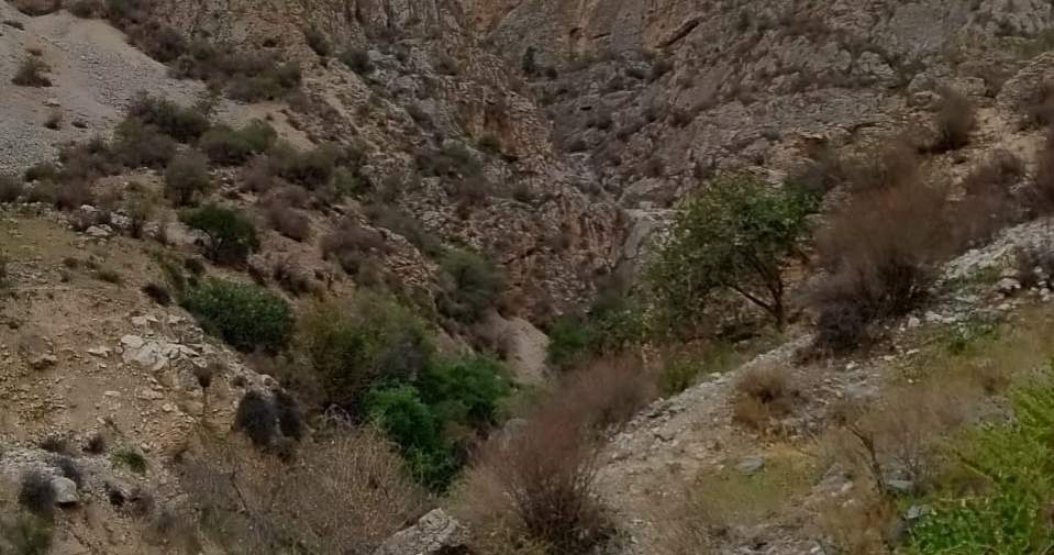 В Баткенской области ликвидировали места незаконного отлова кекиликов