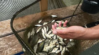 435b84d5-dd36-420c-82f3-458ca2f87e8e.jpg