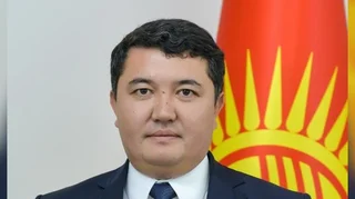 459936.jpg