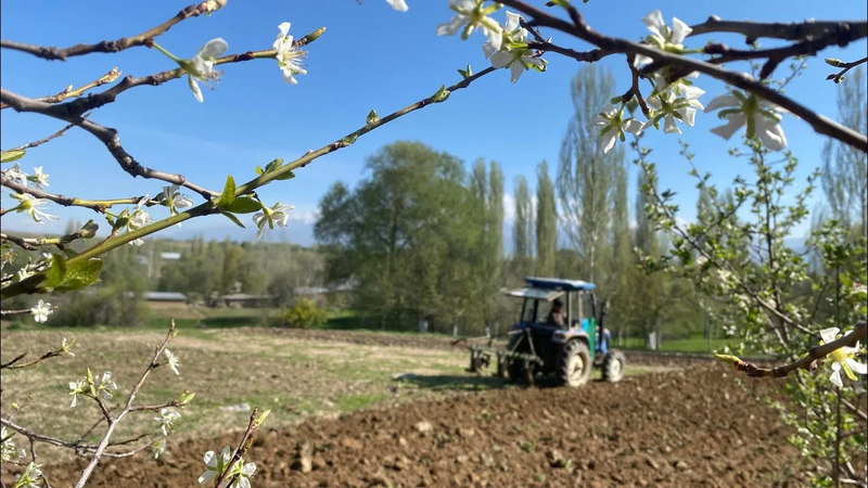 48af7021-107a-.max-2560x1440.format-webp.jpegquality-90