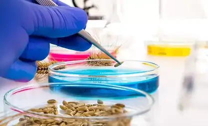 В Кыргызстане за 2025 год выявлено 35 фактов нарушения фитосанитарных норм