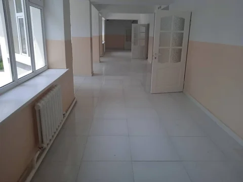 503487390_1211468033785577_8165519822427602769_n.jpg
