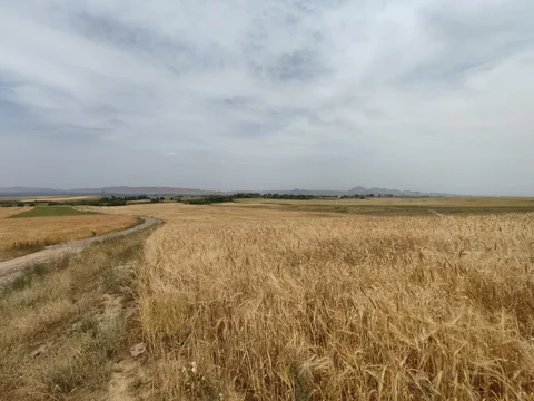 505232267_1007221954949959_5851859991278911267_n.jpg