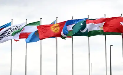Саммит ОСЭ. Для достижения климатических целей необходимы совместные проекты - экономист