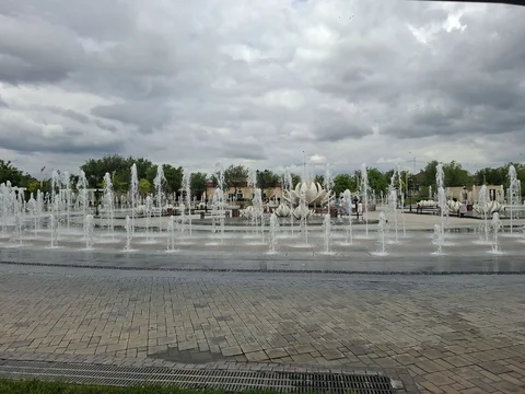 5188415507294526339.jpg