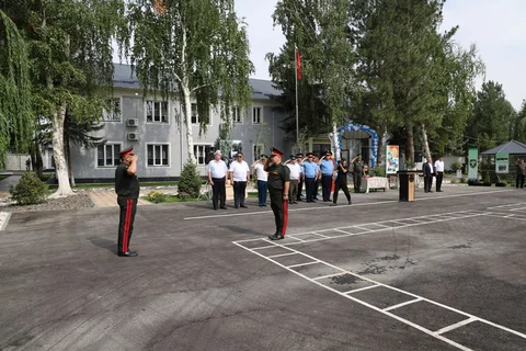 5215186029856817401.jpg
