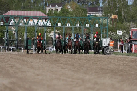 5240338054126891249.jpg