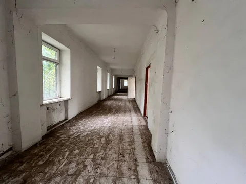 525964538_773242535103117_6765132626458268222_n.jpg