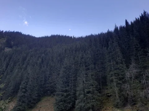 5271794029530573467.jpg